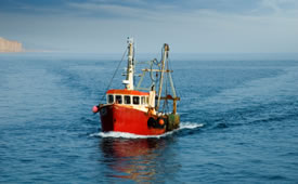London fish wholesaler The Upper Scale