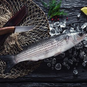Silver Mullet Wild From Cornwall Scaled & Gutted 800g-1kg Serves 2-3