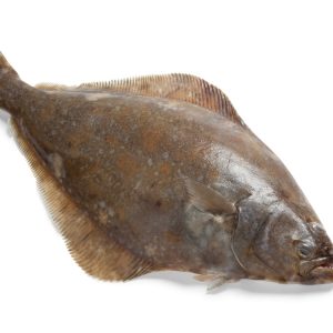Whole Wild Halibut - 2kg - 2.5kg Before Prep - Serves 6-7